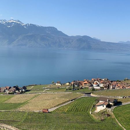 Апартаменти La Gremillette Gourmande Lavaux Rivaz Екстер'єр фото