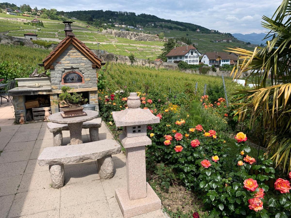 Апартаменти La Gremillette Gourmande Lavaux Rivaz Екстер'єр фото