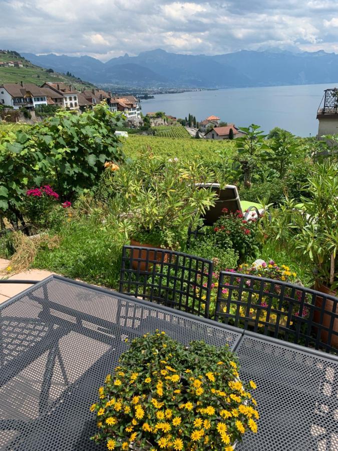 Апартаменти La Gremillette Gourmande Lavaux Rivaz Екстер'єр фото
