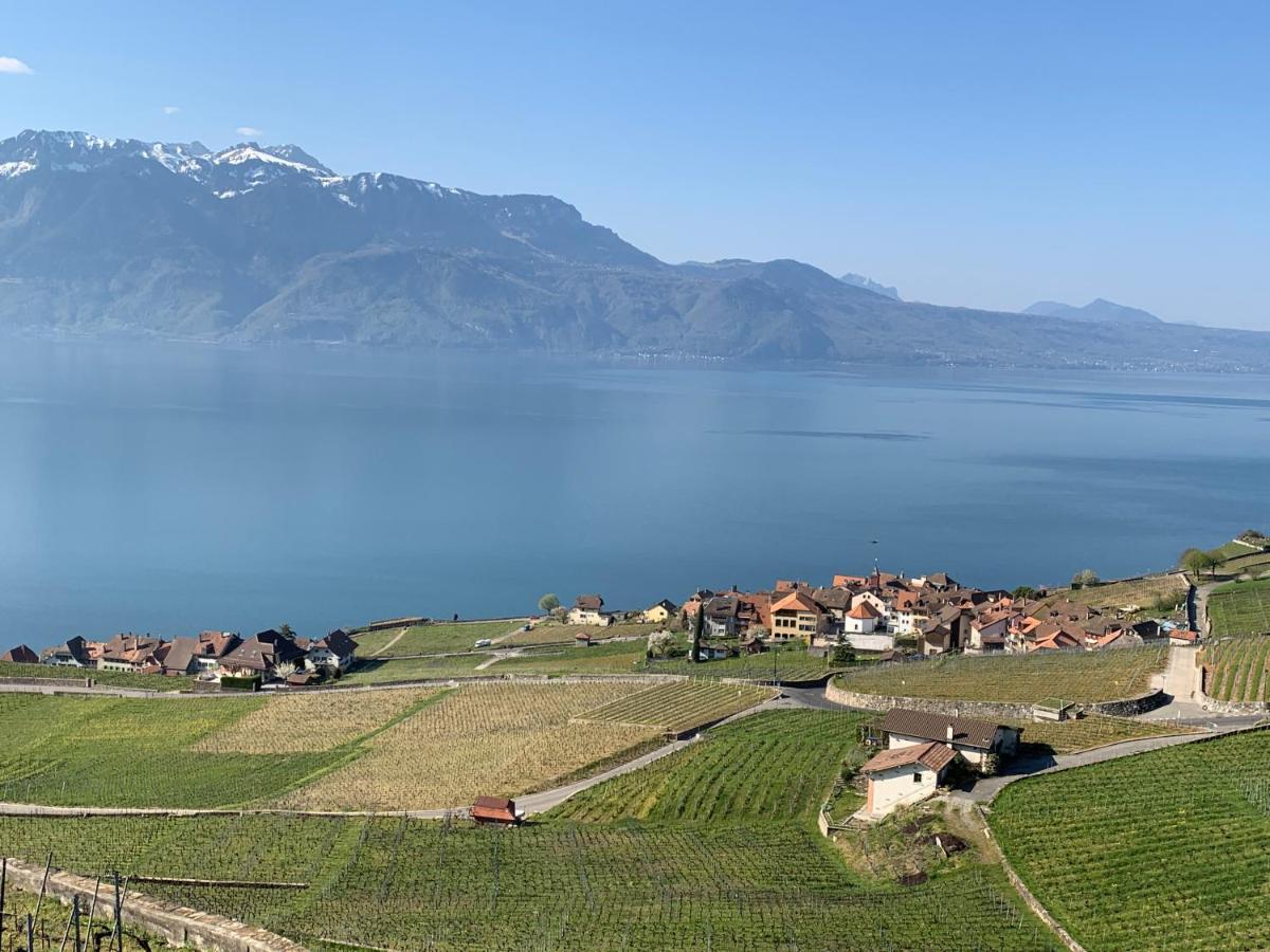 Апартаменти La Gremillette Gourmande Lavaux Rivaz Екстер'єр фото