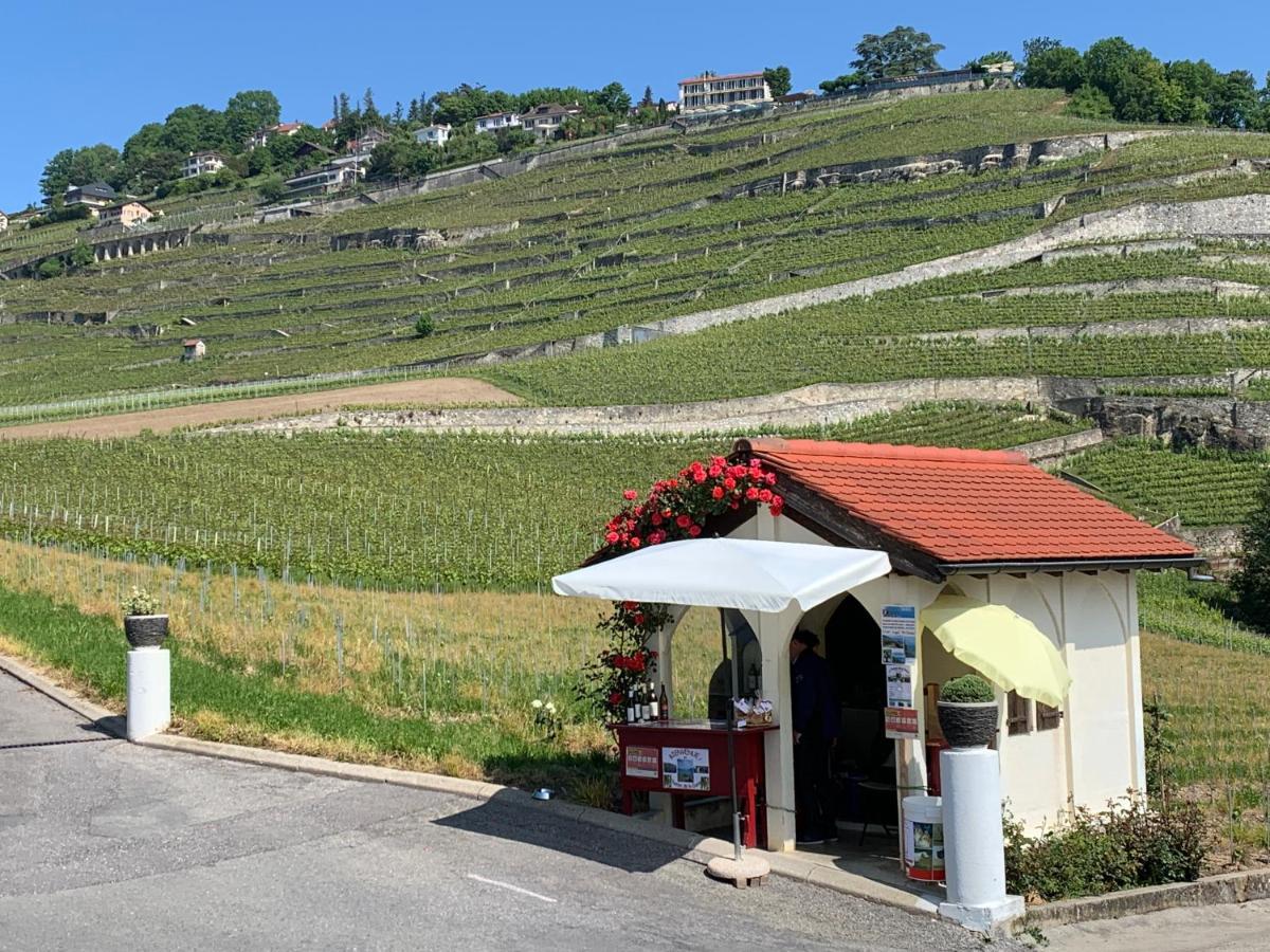 Апартаменти La Gremillette Gourmande Lavaux Rivaz Екстер'єр фото
