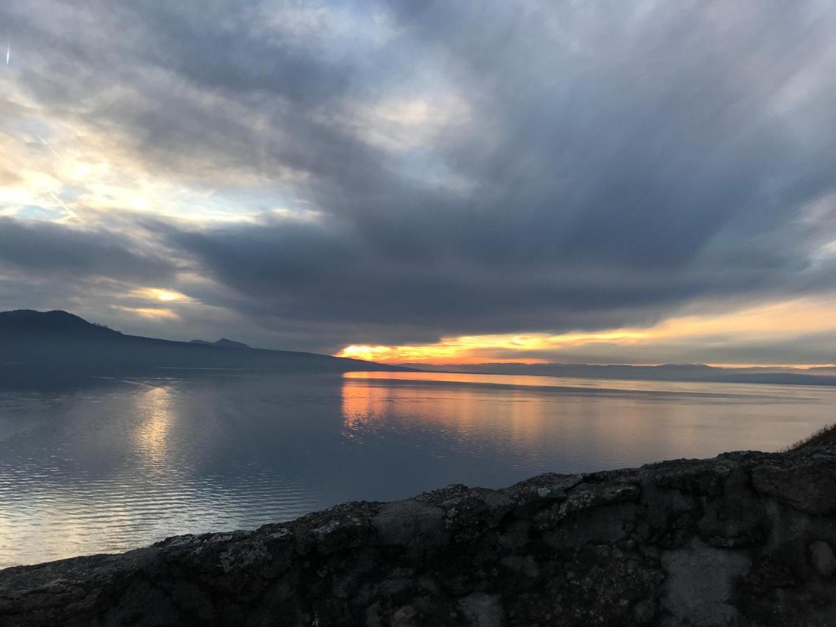 Апартаменти La Gremillette Gourmande Lavaux Rivaz Екстер'єр фото